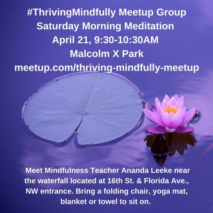 TMMeetup-SatAMMeditation-FINALUSE