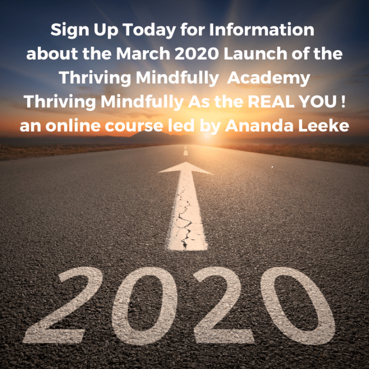 TM2020-TM101OnlineCourse-SignUp-FINAL (2)