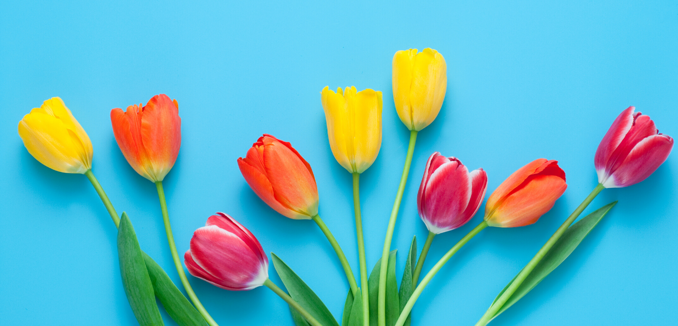 SpringFlowersforBlogandEBlast