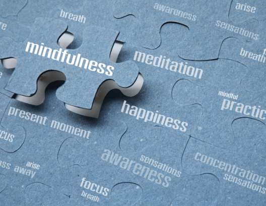 Mindfulness-ElementsofMindfulness (2)